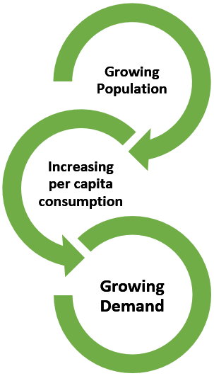 Rising Food Imports